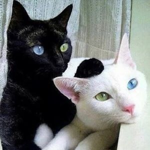 Meet your Posher, Eric